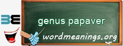 WordMeaning blackboard for genus papaver
